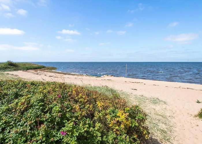 Dom wakacyjny C11031-hemmet-duevaenget-54